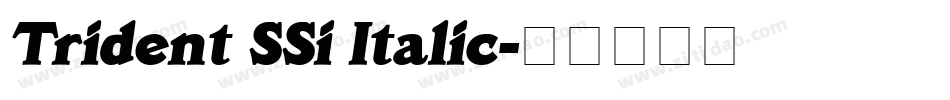 Trident SSi Italic字体转换